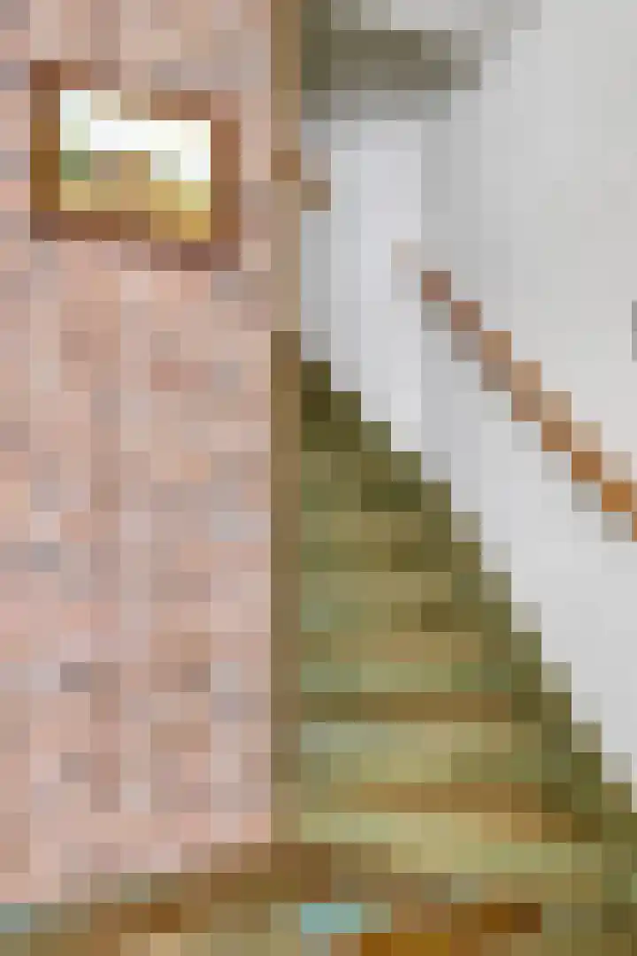 Gebroeders de Koninglaan 16 Best thumbnail 22