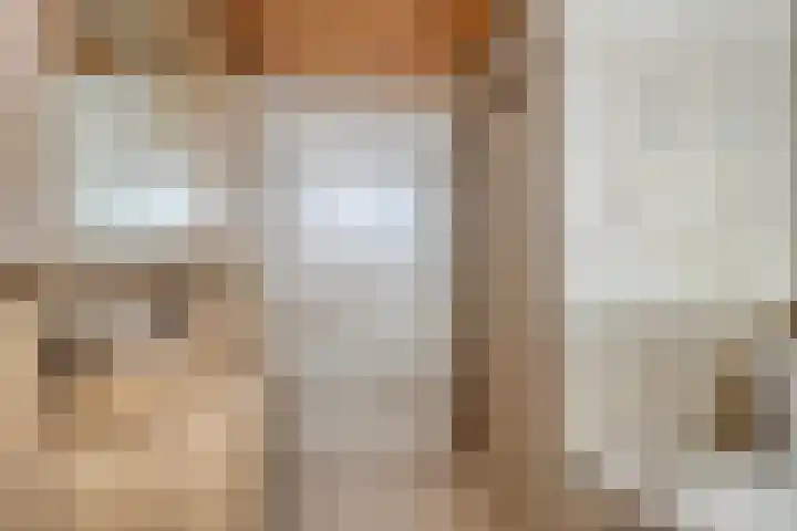 Gebroeders de Koninglaan 16 Best thumbnail 26