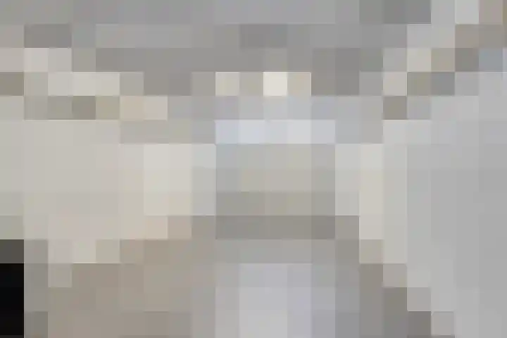 Gebroeders de Koninglaan 16 Best thumbnail 4