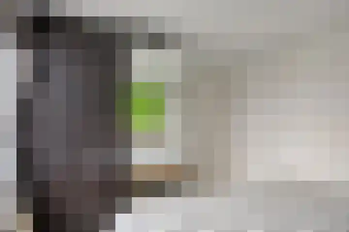 Gebroeders de Koninglaan 28 Best thumbnail 16