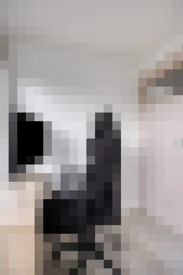 Gebroeders de Koninglaan 28 Best thumbnail 23