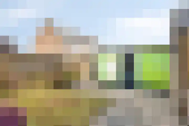 Gebroeders de Koninglaan 28 Best thumbnail 29