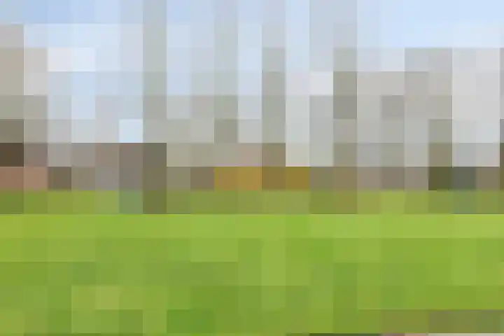 Gebroeders de Koninglaan 28 Best thumbnail 33