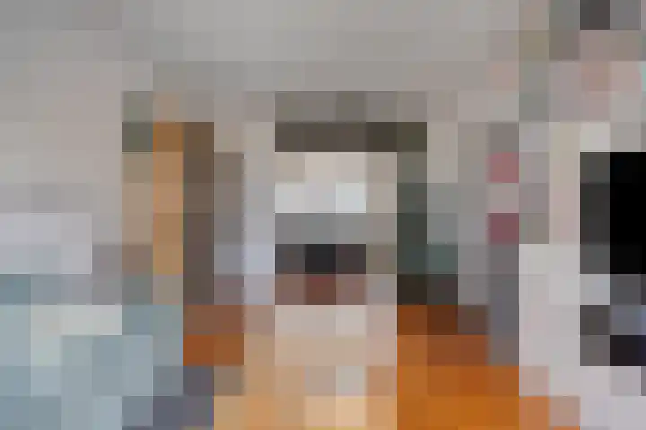 Gebroeders de Koninglaan 29 Best thumbnail 14