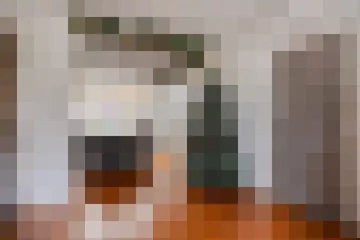 Gebroeders de Koninglaan 29 Best thumbnail 15