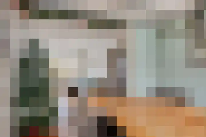 Gebroeders de Koninglaan 29 Best thumbnail 17