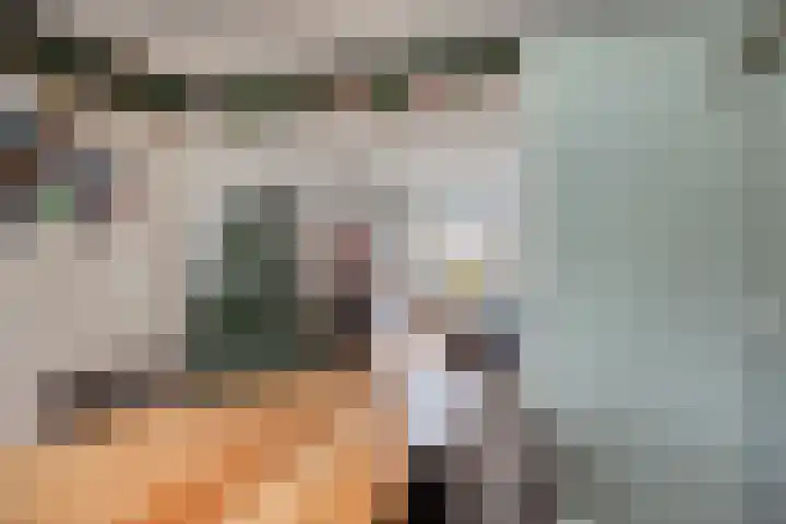 Gebroeders de Koninglaan 29 Best thumbnail 18