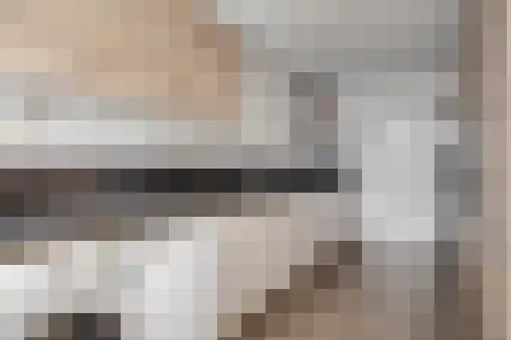 Gebroeders de Koninglaan 29 Best thumbnail 21