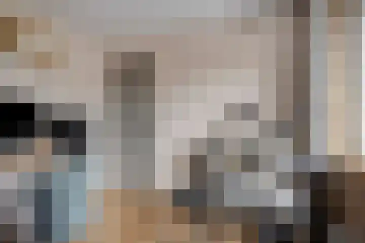 Gebroeders de Koninglaan 29 Best thumbnail 28