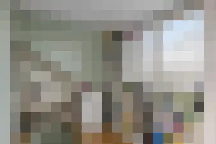 Gebroeders de Koninglaan 29 Best thumbnail 37