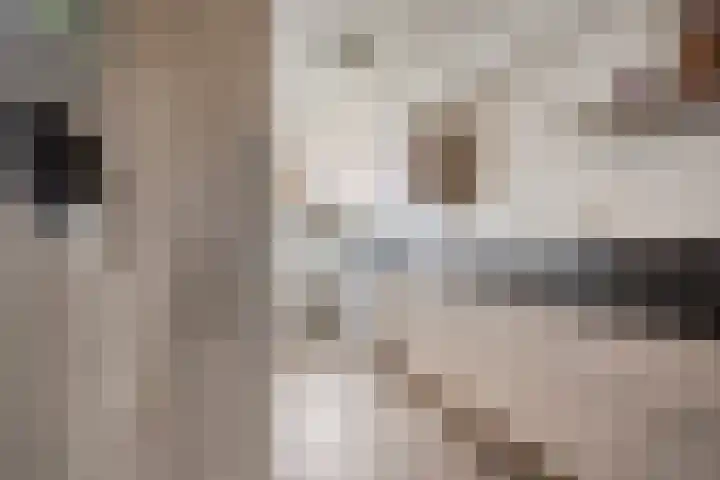 Gebroeders de Koninglaan 29 Best thumbnail 4