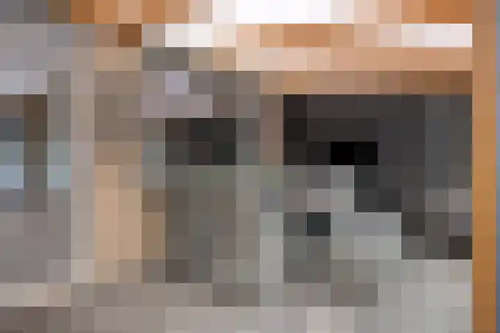 Gebroeders de Koninglaan 29 Best thumbnail 40
