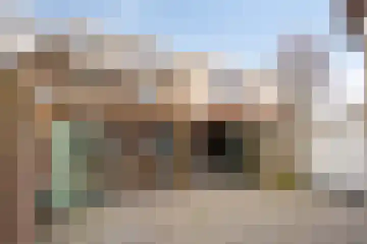 Gebroeders de Koninglaan 29 Best thumbnail 46
