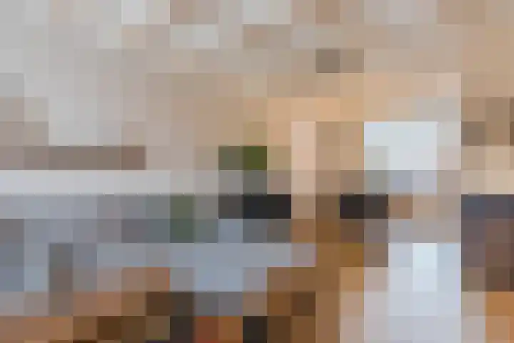 Gebroeders de Koninglaan 9 Best thumbnail 11