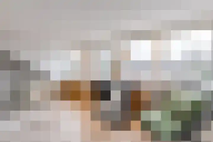Gebroeders de Koninglaan 9 Best thumbnail 27
