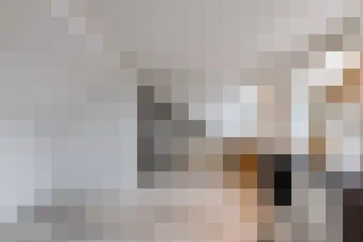 Gebroeders de Koninglaan 9 Best thumbnail 28