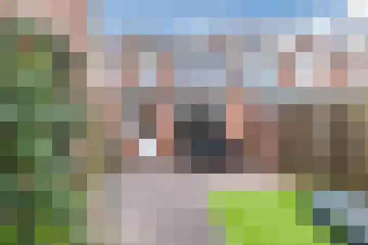 Gebroeders de Koninglaan 9 Best thumbnail 30