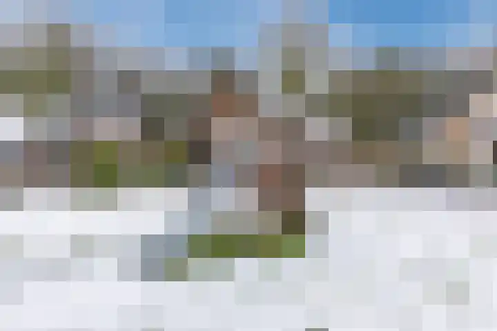 Gebroeders de Koninglaan 9 Best thumbnail 34