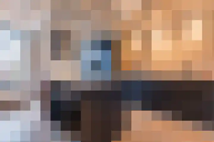 Gebroeders de Koninglaan 9 Best thumbnail 4