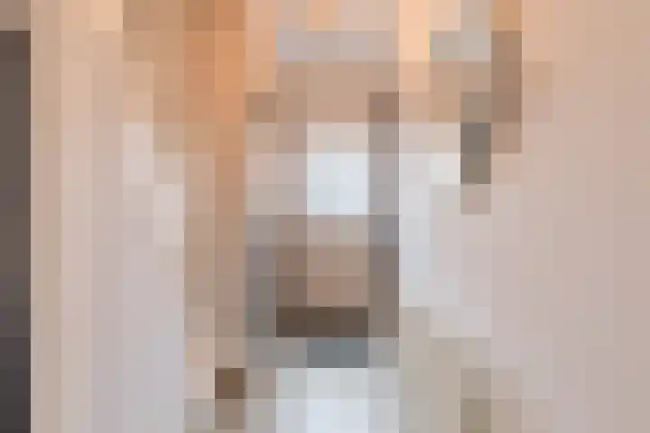 Gebroeders de Koninglaan 9 Best thumbnail 8
