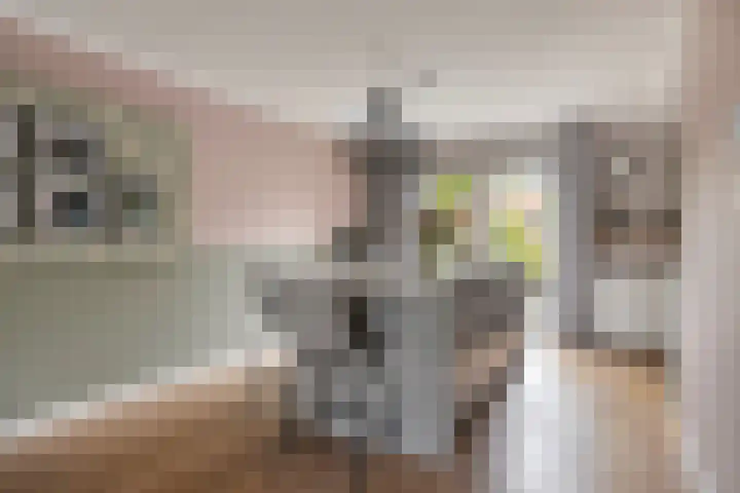 Gebroeders Delhezstraat 6 Steenbergen thumbnail 10
