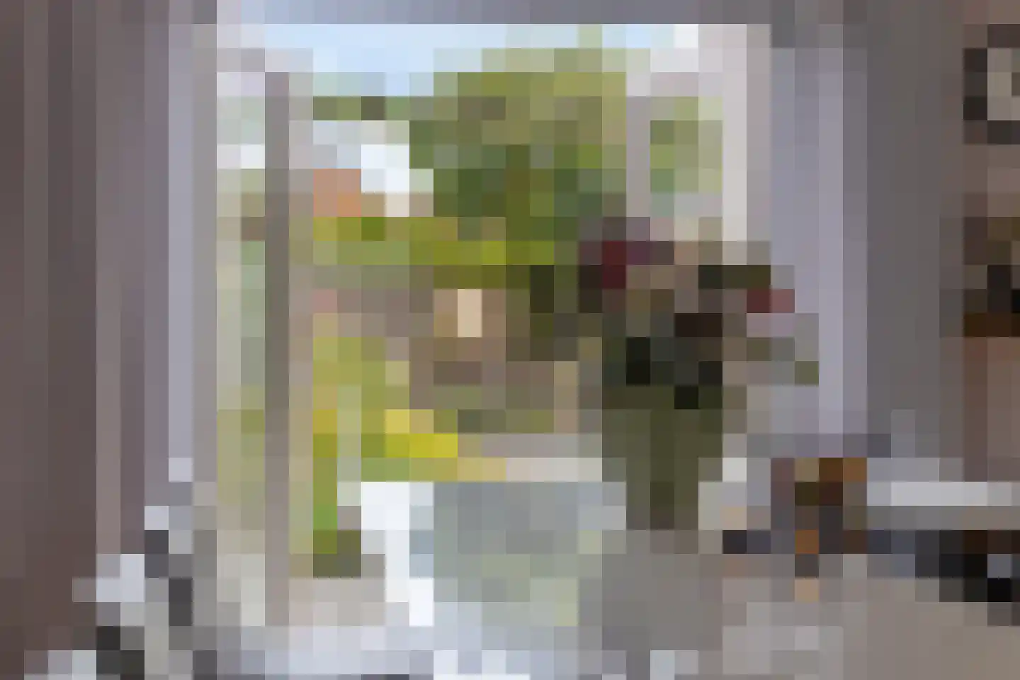 Gebroeders Delhezstraat 6 Steenbergen thumbnail 11