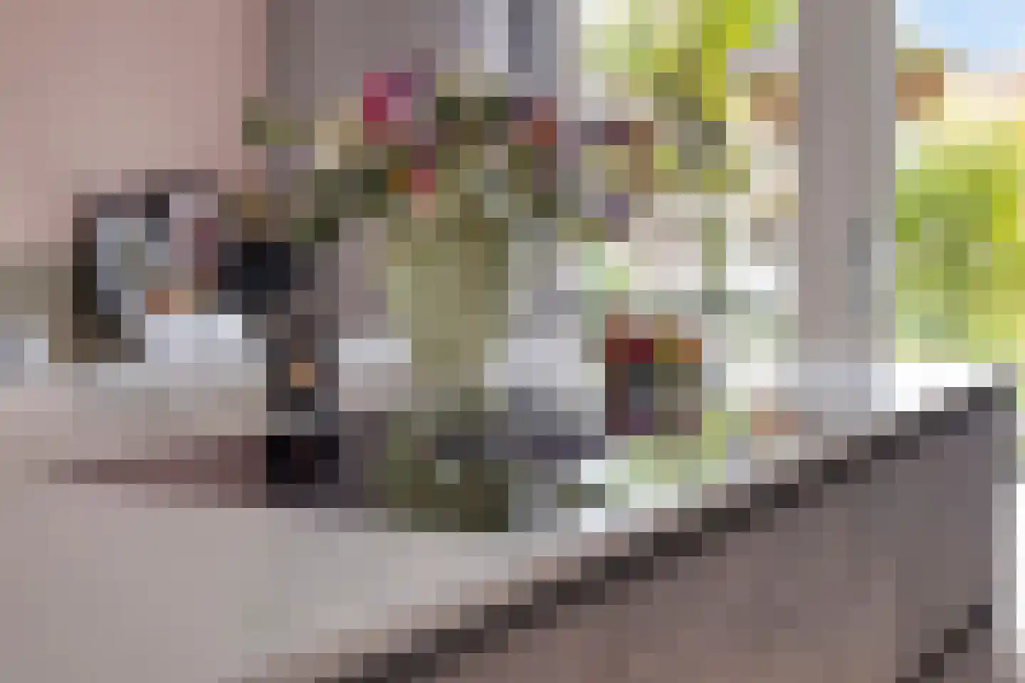 Gebroeders Delhezstraat 6 Steenbergen thumbnail 14