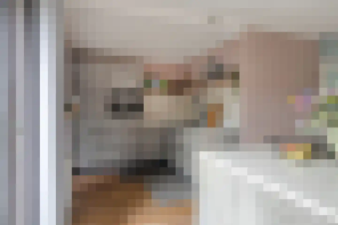 Gebroeders Delhezstraat 6 Steenbergen thumbnail 15