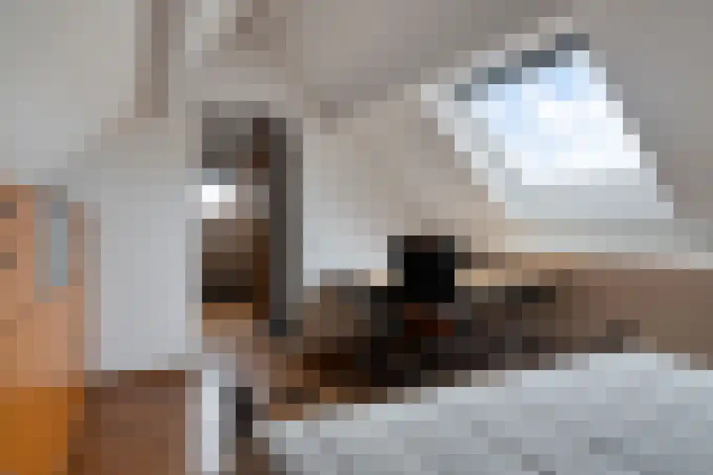 Gebroeders Delhezstraat 6 Steenbergen thumbnail 36