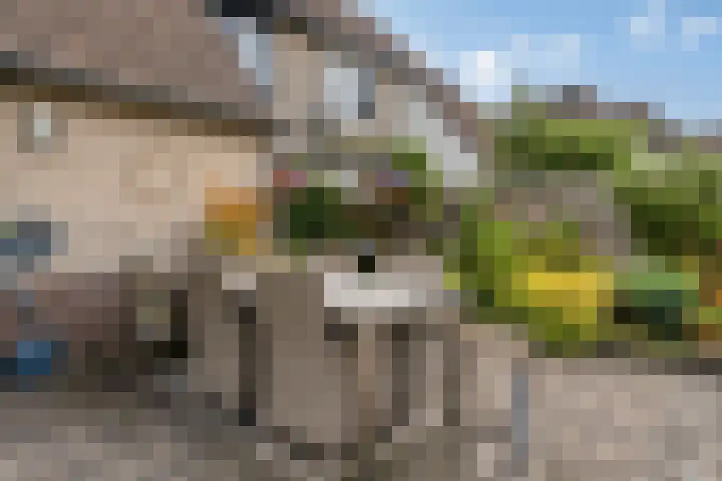 Gebroeders Delhezstraat 6 Steenbergen thumbnail 40