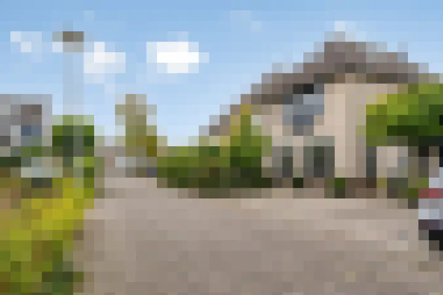 Gebroeders Delhezstraat 6 Steenbergen thumbnail 50