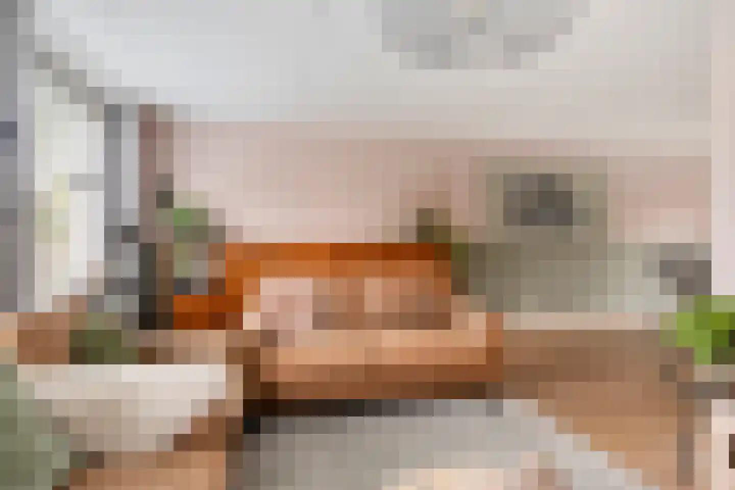 Gebroeders Delhezstraat 6 Steenbergen thumbnail 8