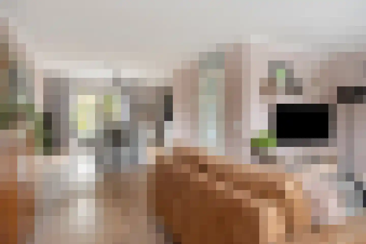 Gebroeders Delhezstraat 6 Steenbergen thumbnail 9