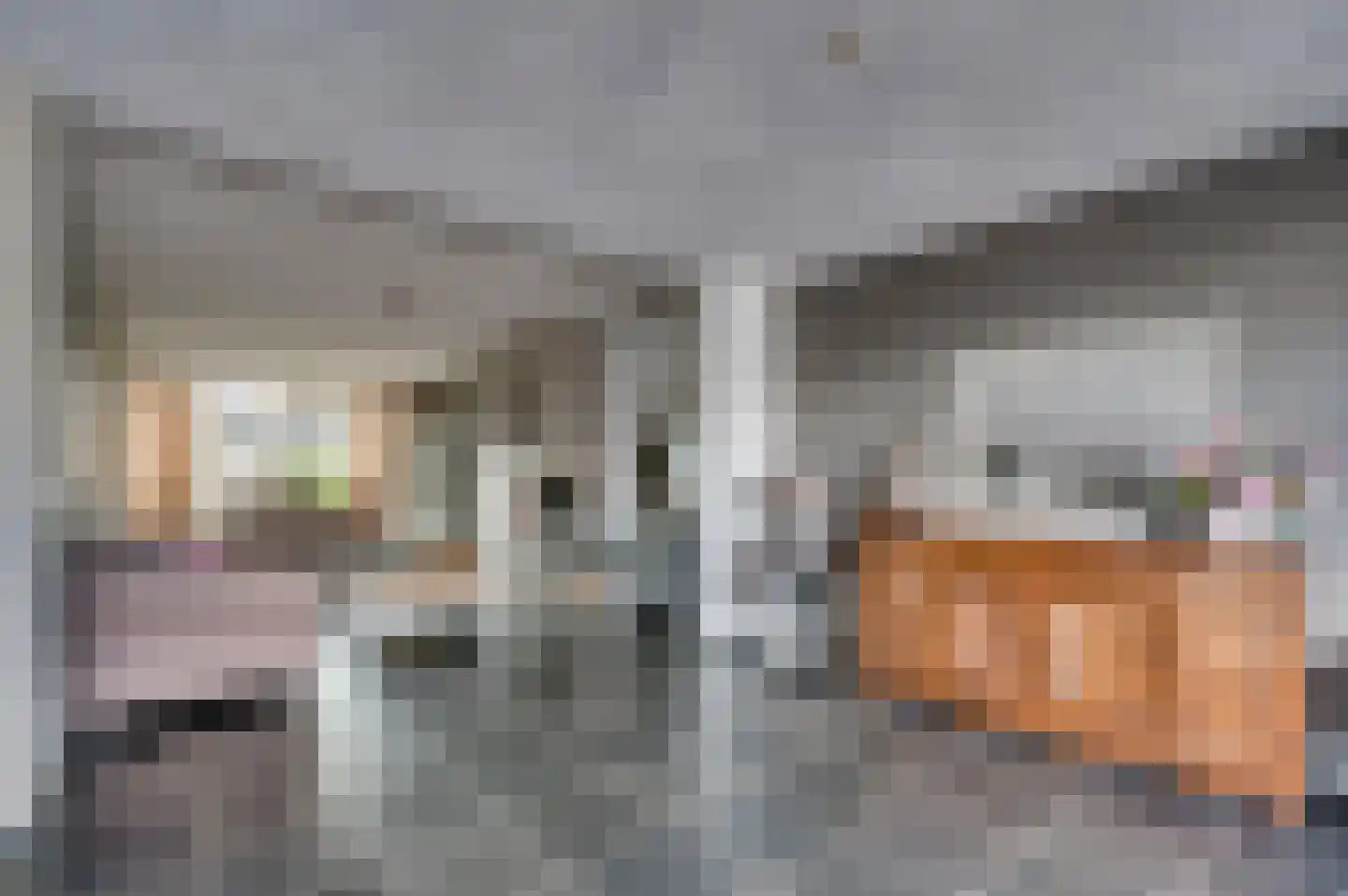 Gebroeders Fodorstraat 10 Venlo thumbnail 18