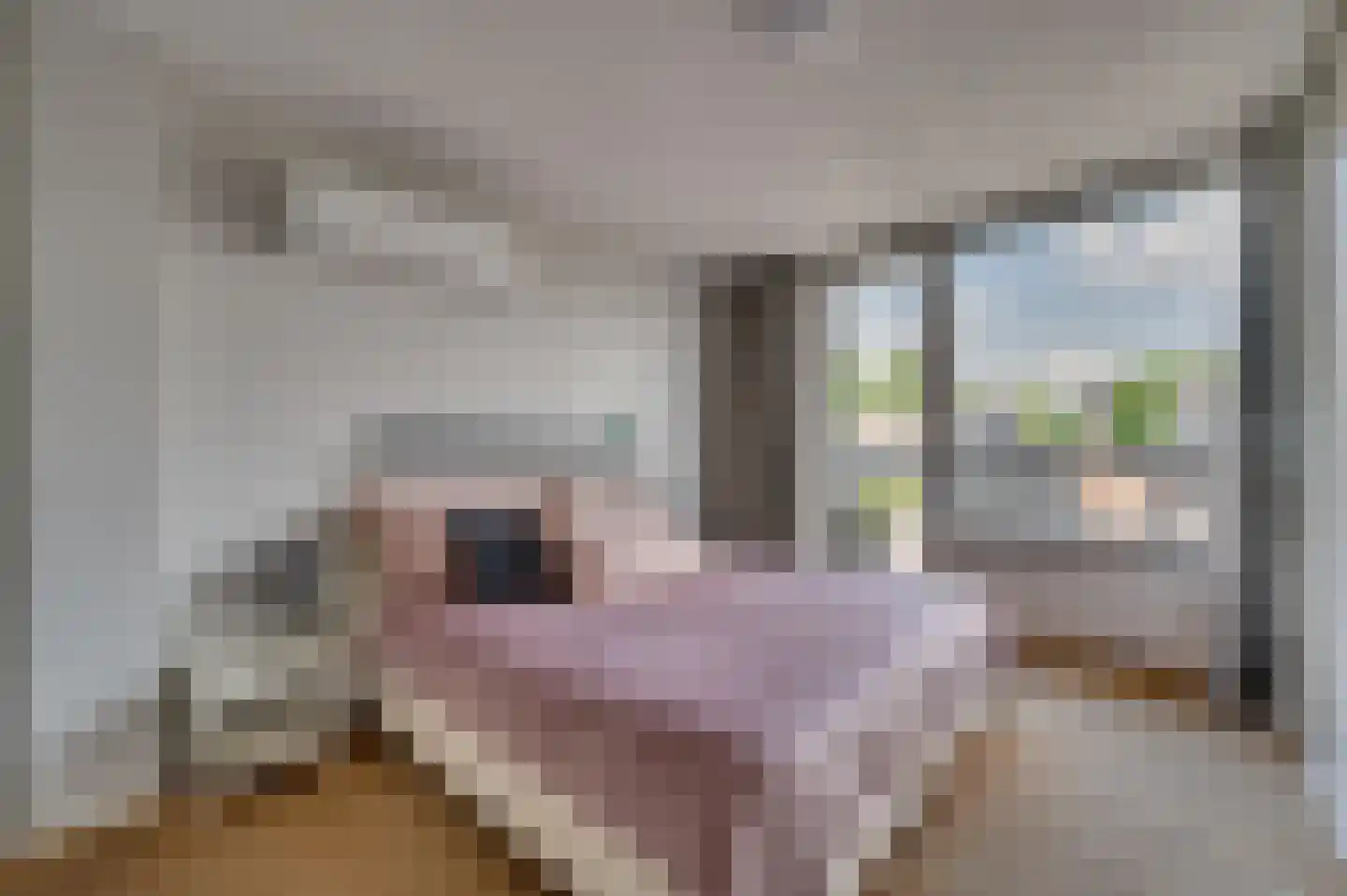 Gebroeders Fodorstraat 10 Venlo thumbnail 21
