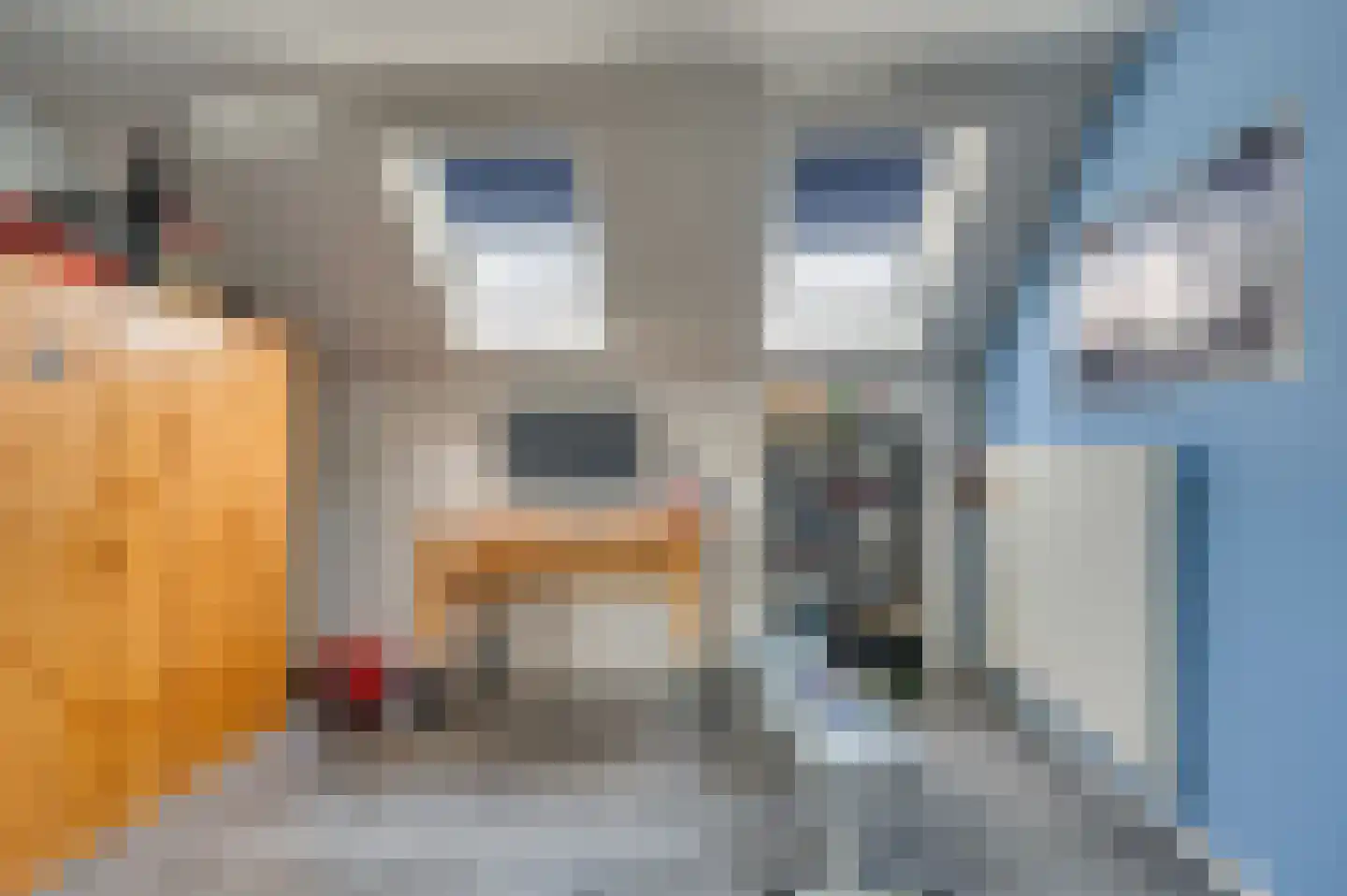 Gebroeders Fodorstraat 10 Venlo thumbnail 31