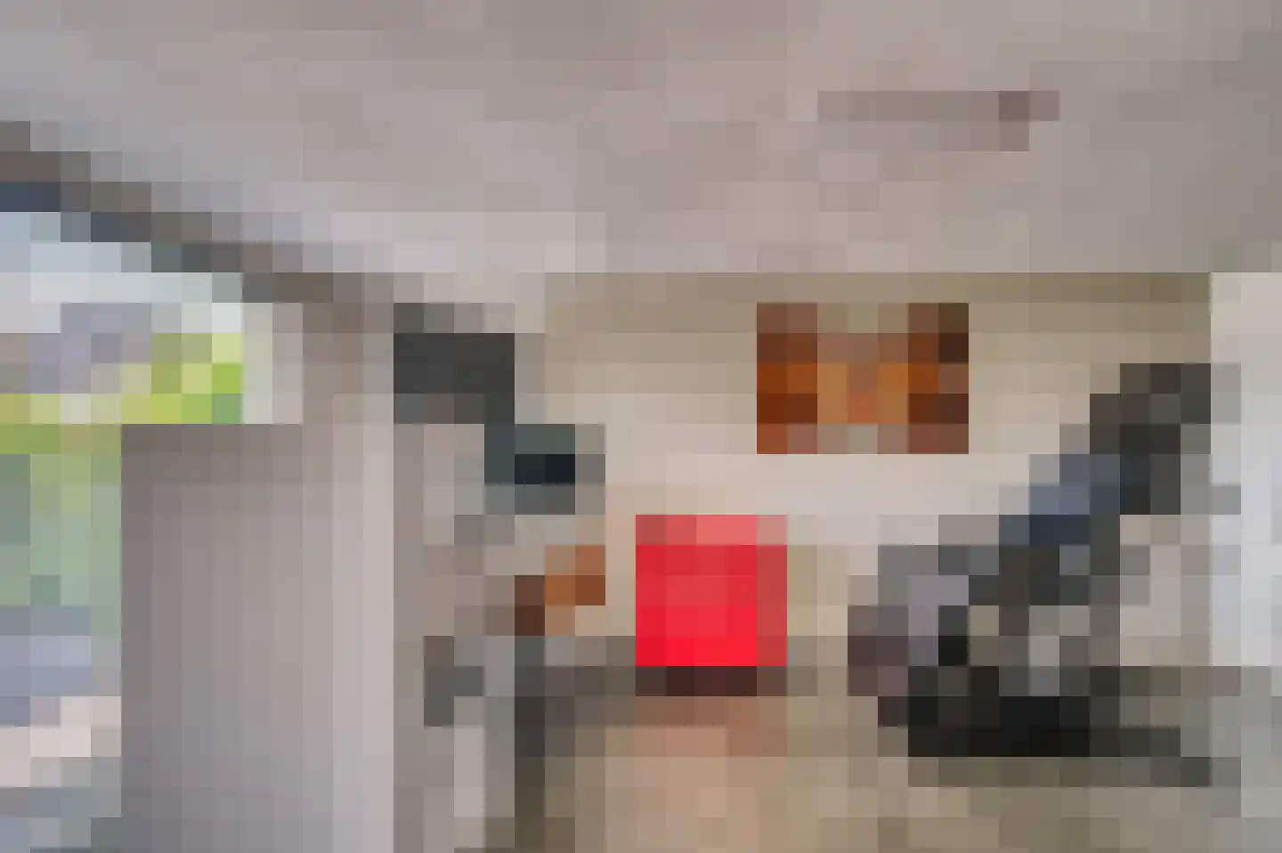 Gebroeders Fodorstraat 10 Venlo thumbnail 8