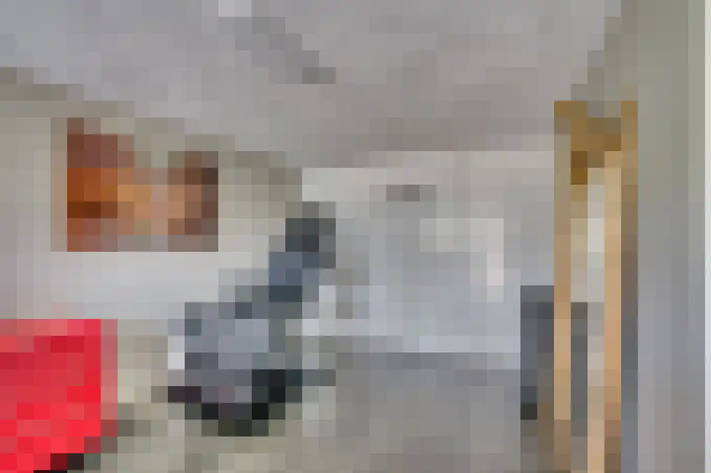 Gebroeders Fodorstraat 10 Venlo thumbnail 9