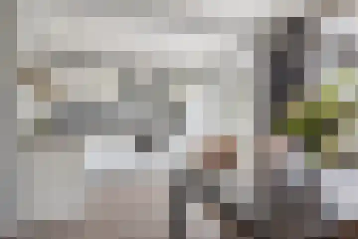 Gebroeders Fodorstraat 5 Venlo thumbnail 11