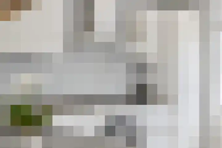 Gebroeders Fodorstraat 5 Venlo thumbnail 13