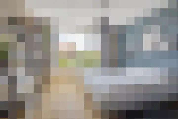 Gebroeders Fodorstraat 5 Venlo thumbnail 15