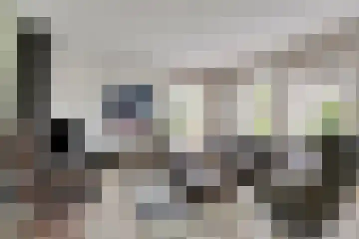 Gebroeders Ganslaan 19 Eindhoven thumbnail 12