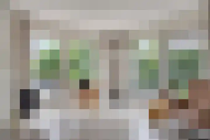 Gebroeders Ganslaan 19 Eindhoven thumbnail 14