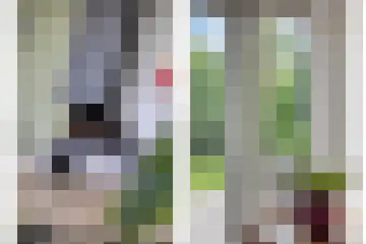 Gebroeders Ganslaan 19 Eindhoven thumbnail 18