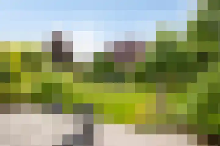 Gebroeders Ganslaan 19 Eindhoven thumbnail 42