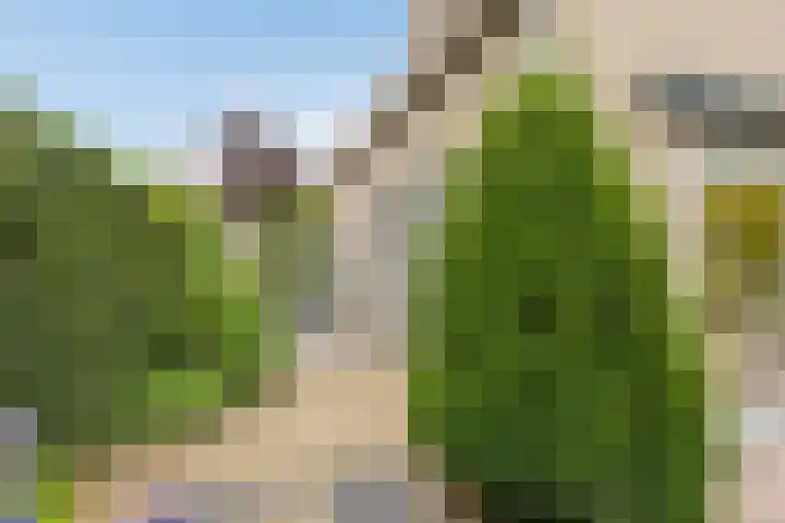 Gebroeders Ganslaan 19 Eindhoven thumbnail 43