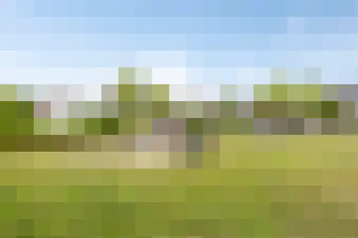 Gebroeders Ganslaan 19 Eindhoven thumbnail 44