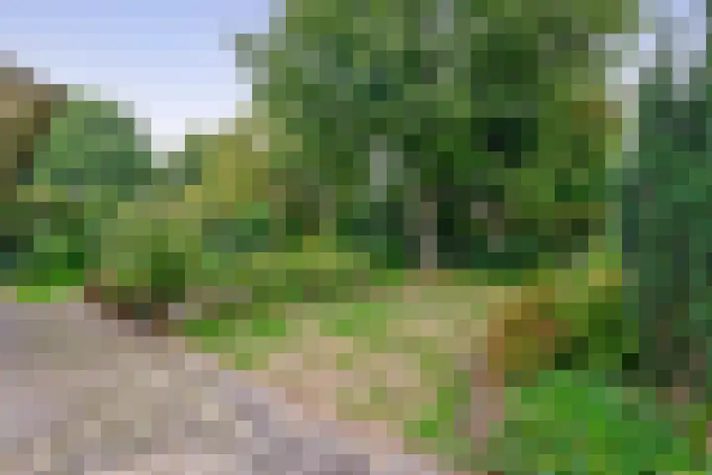 Gebroeders Ganslaan 7 Eindhoven thumbnail 52