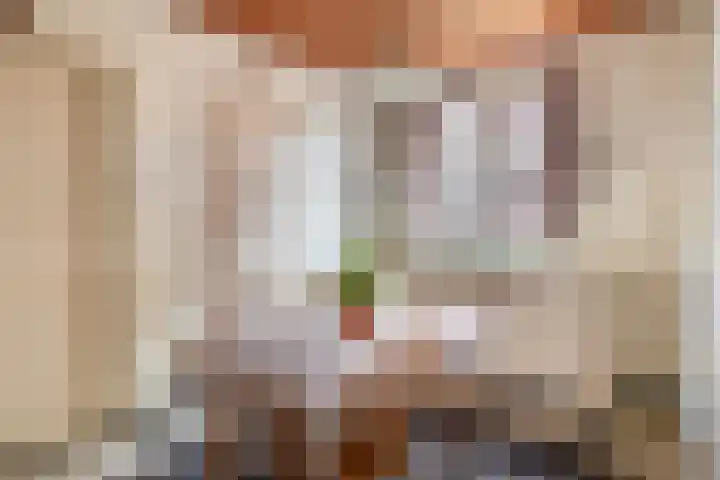 Gebroeders Hoeksstraat 16 Eersel thumbnail 12