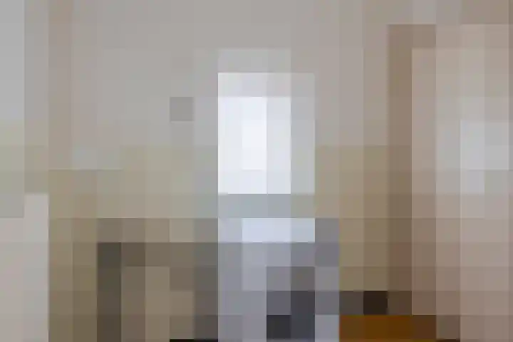 Gebroeders Hoeksstraat 16 Eersel thumbnail 16